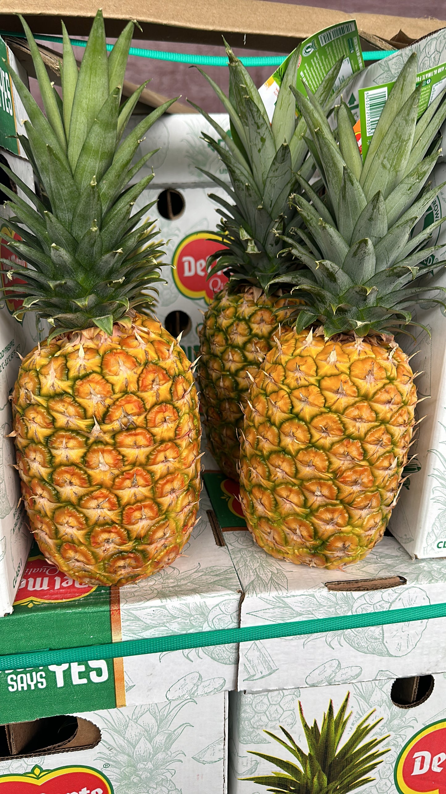 Piña Premium