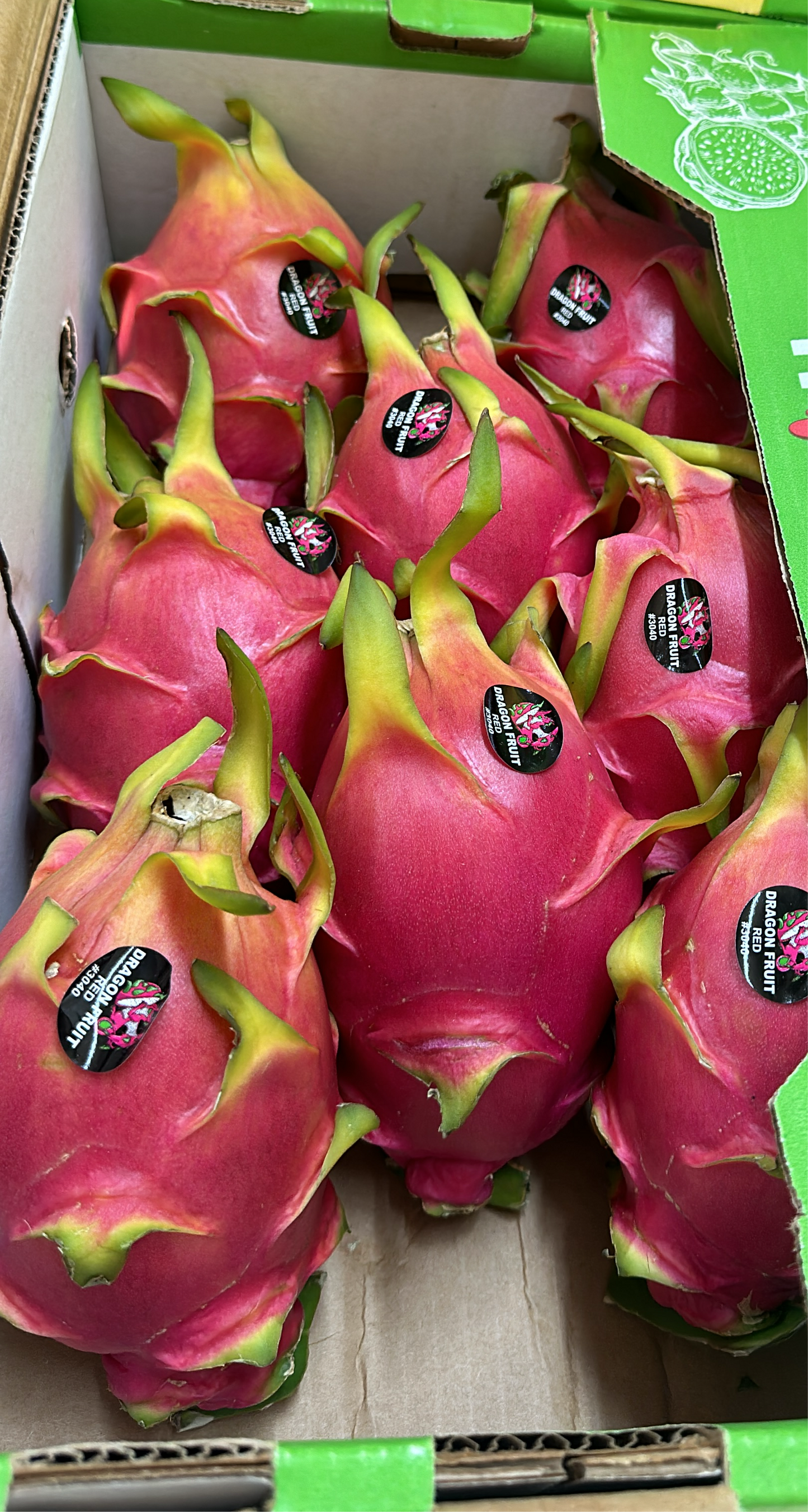 Pitahaya Roja/Blanca