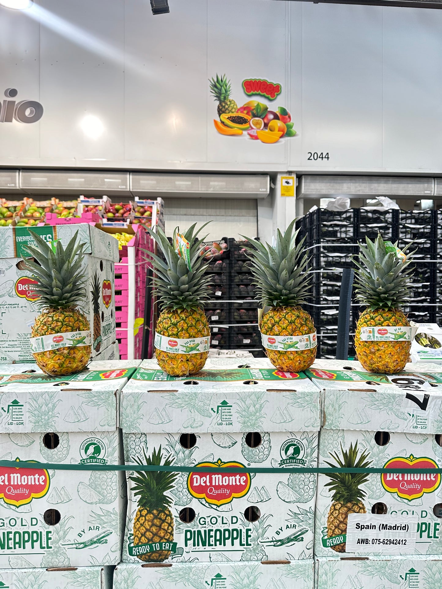 Piña Premium