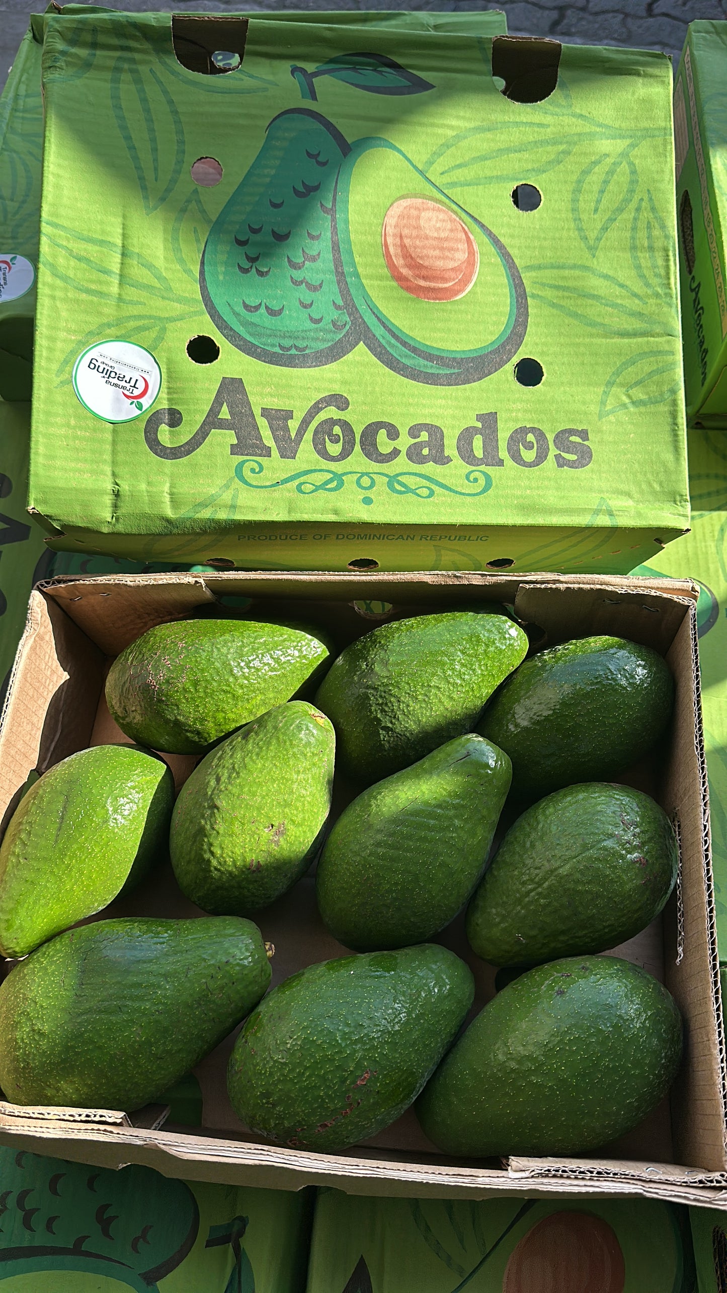 Aguacate Semil