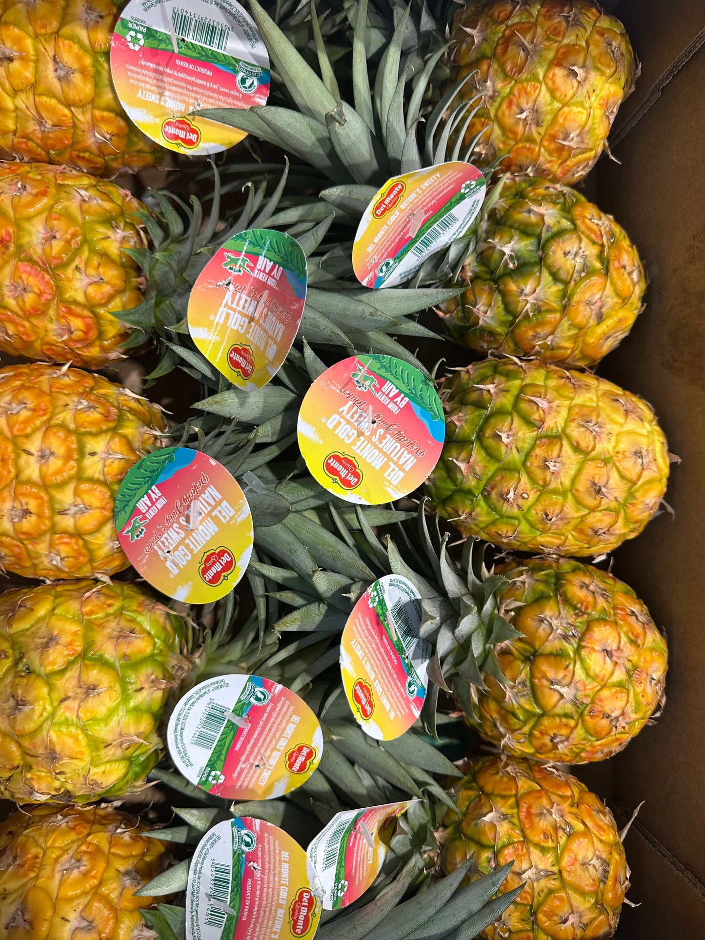Piña Baby