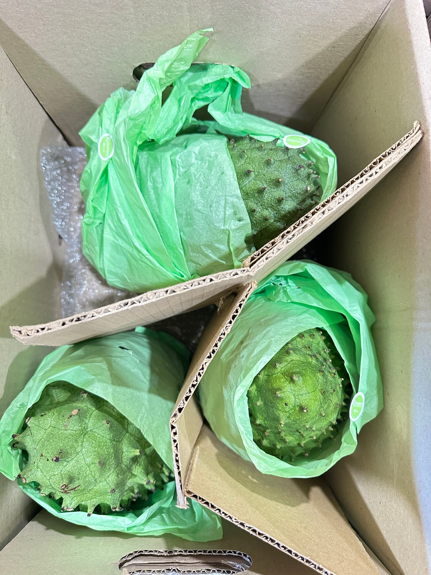 Guanábana Extra Piece