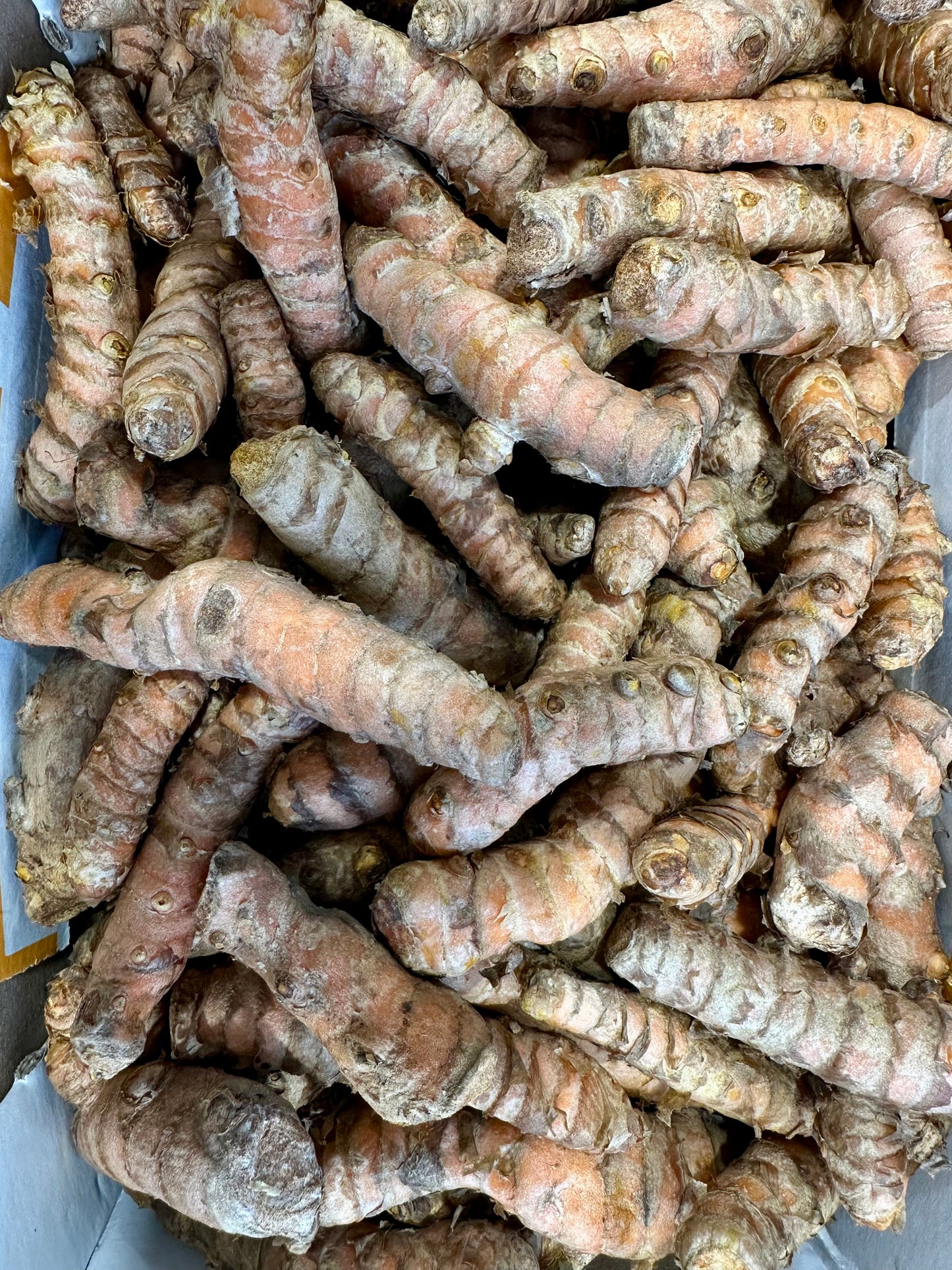 Cúrcuma Box