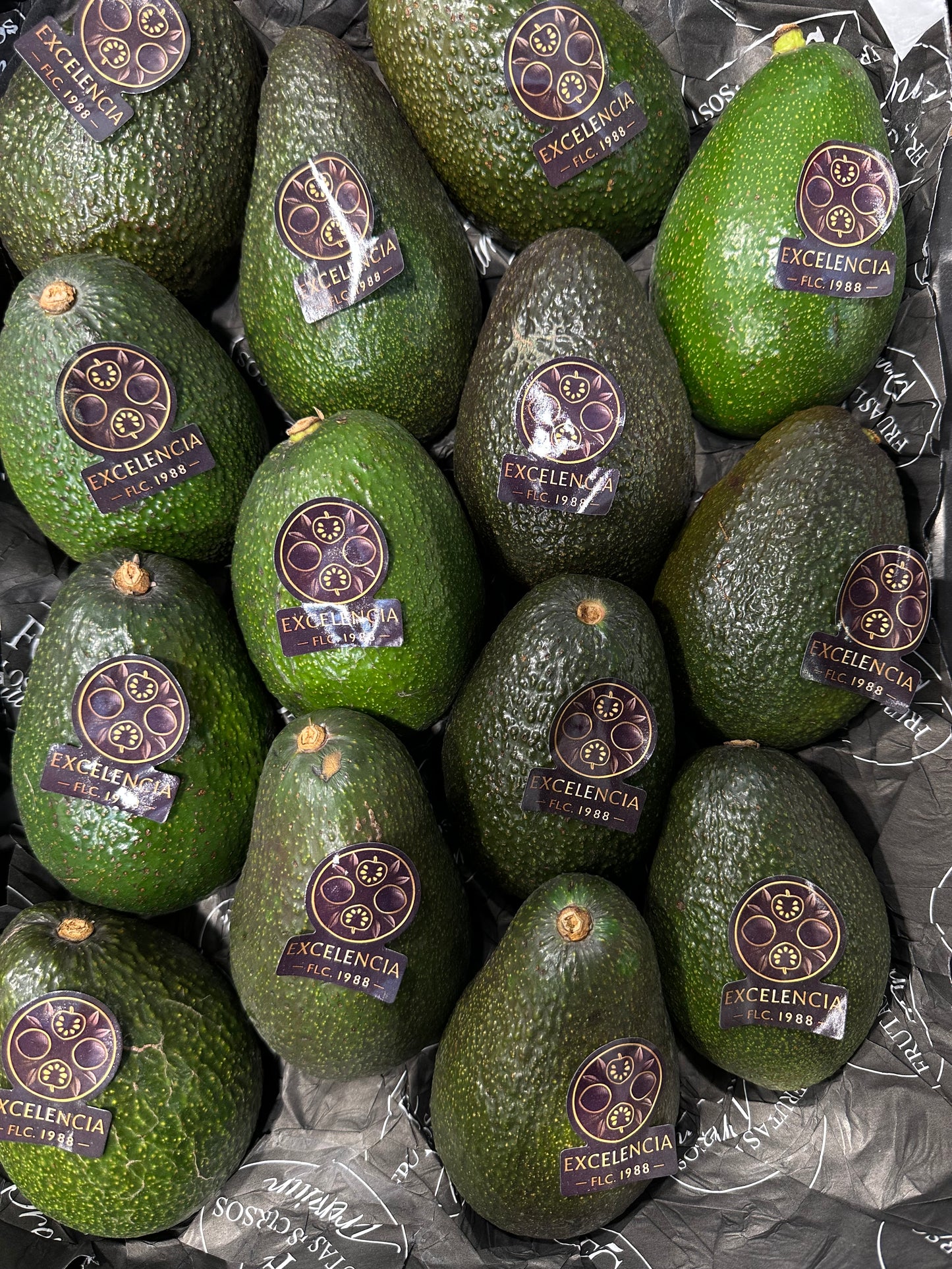 Aguacate Hass