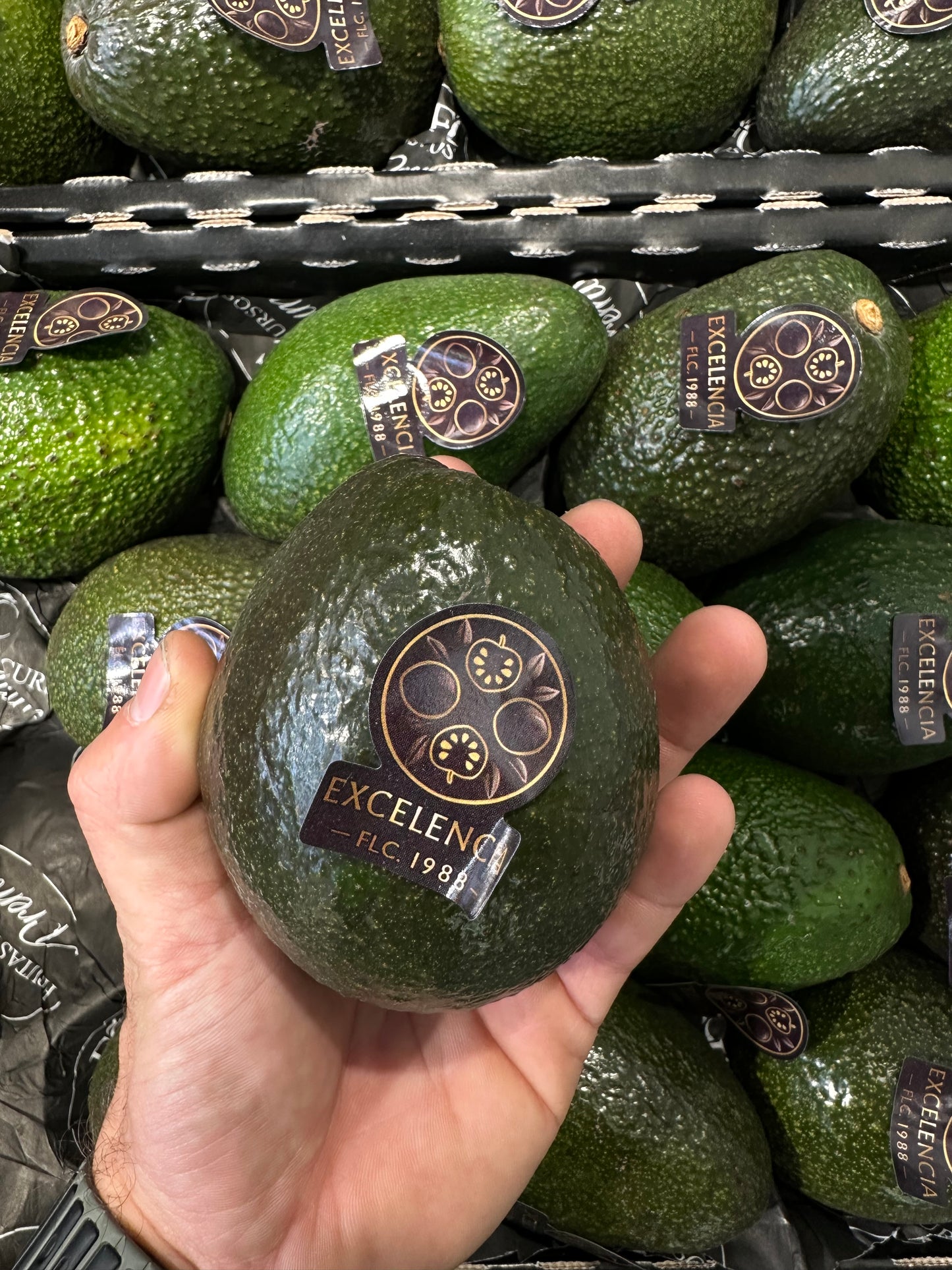 Aguacate Hass