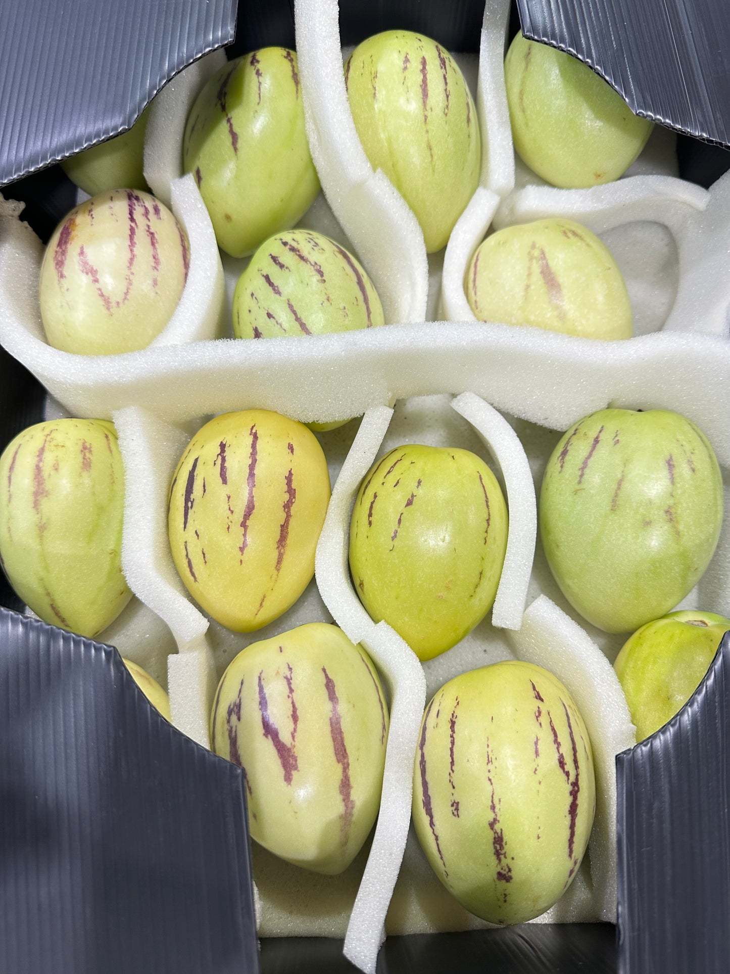 Pepino Melón Box