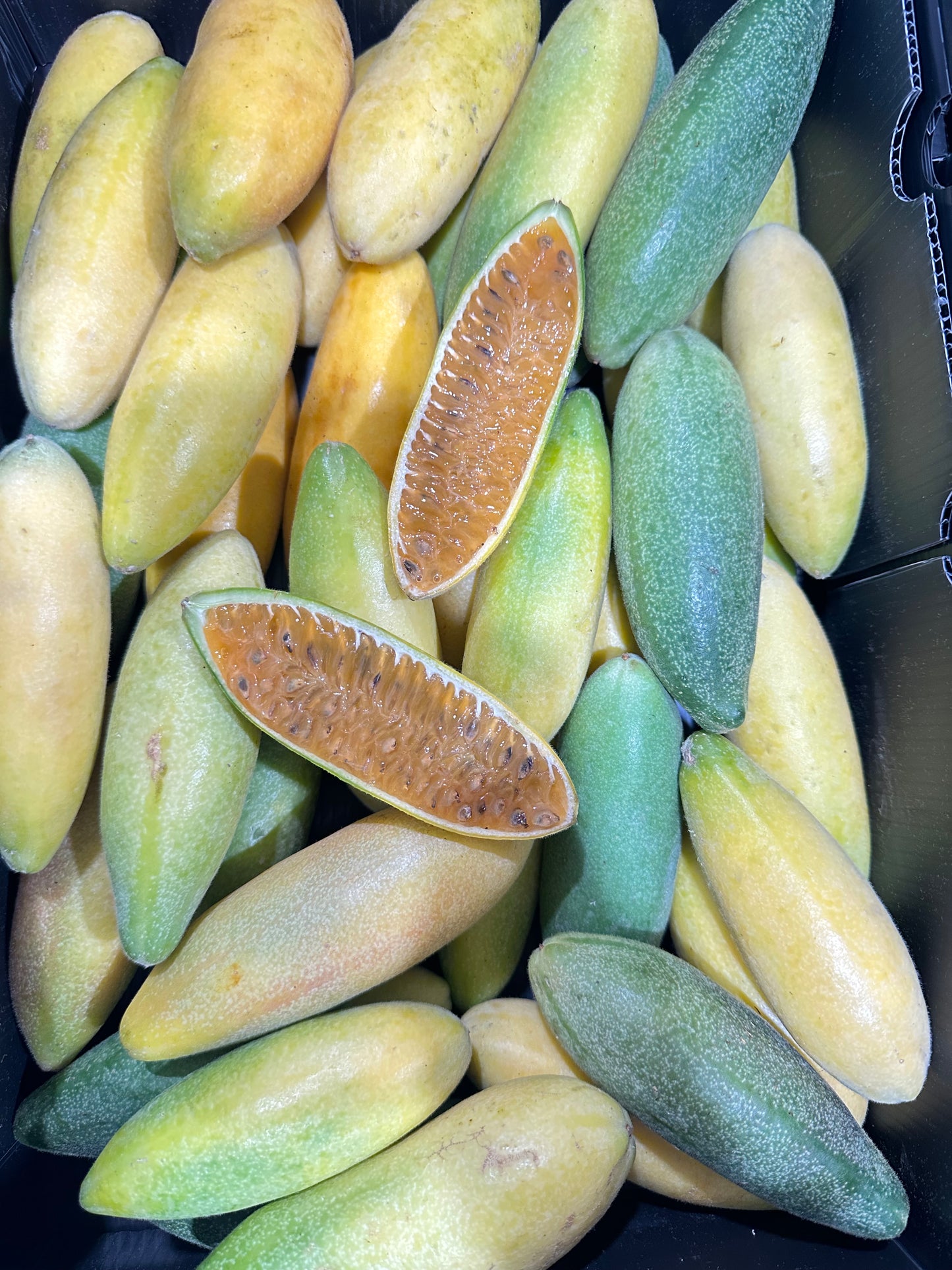 Curuba