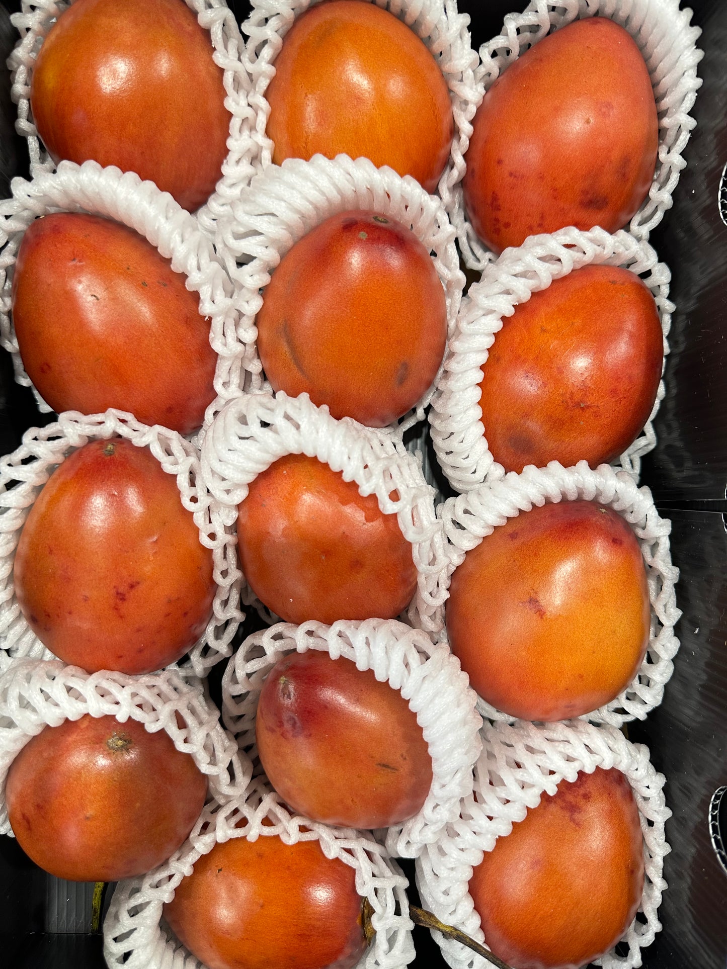 Tamarillo Box