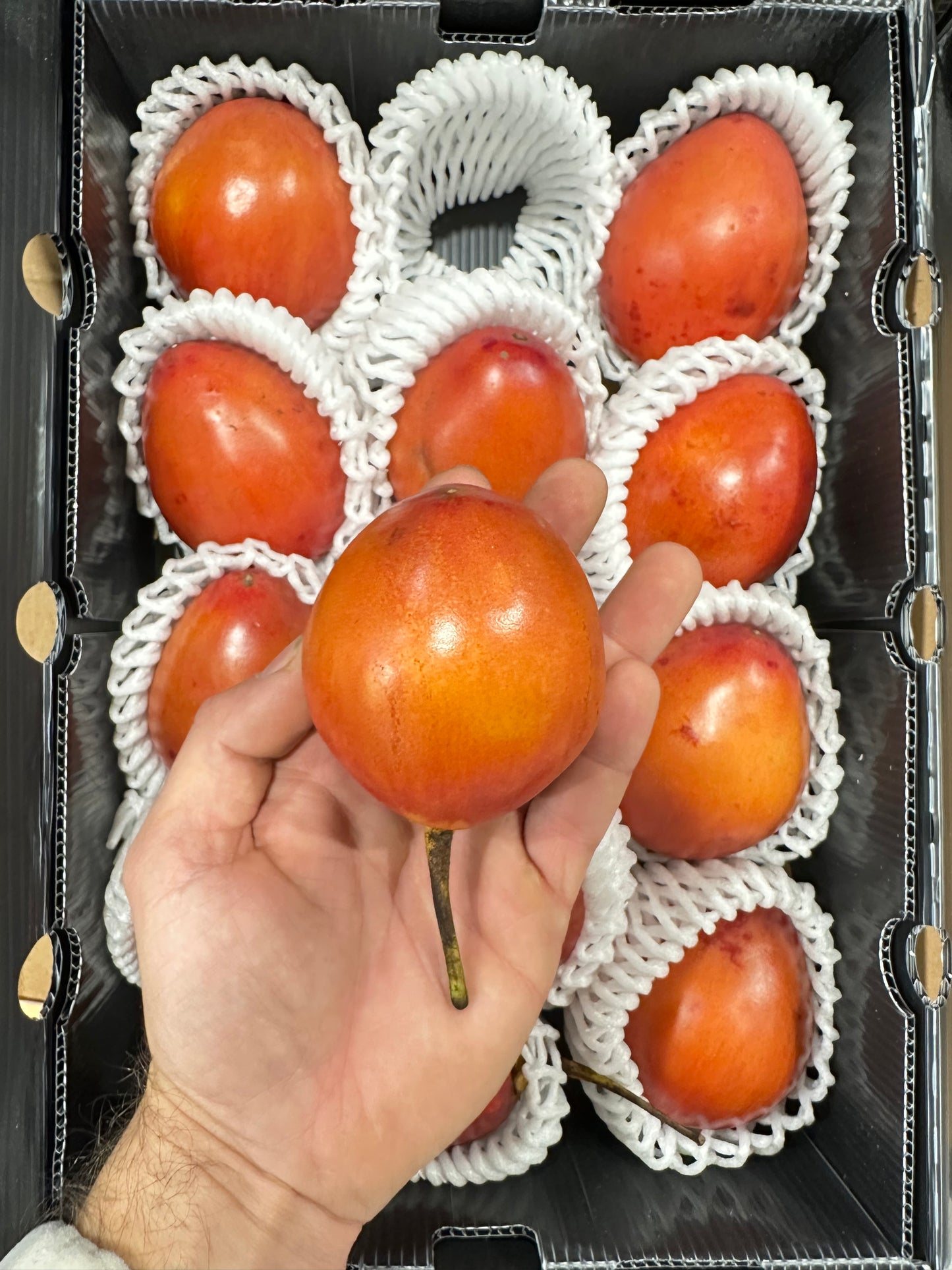 Tamarillo Box