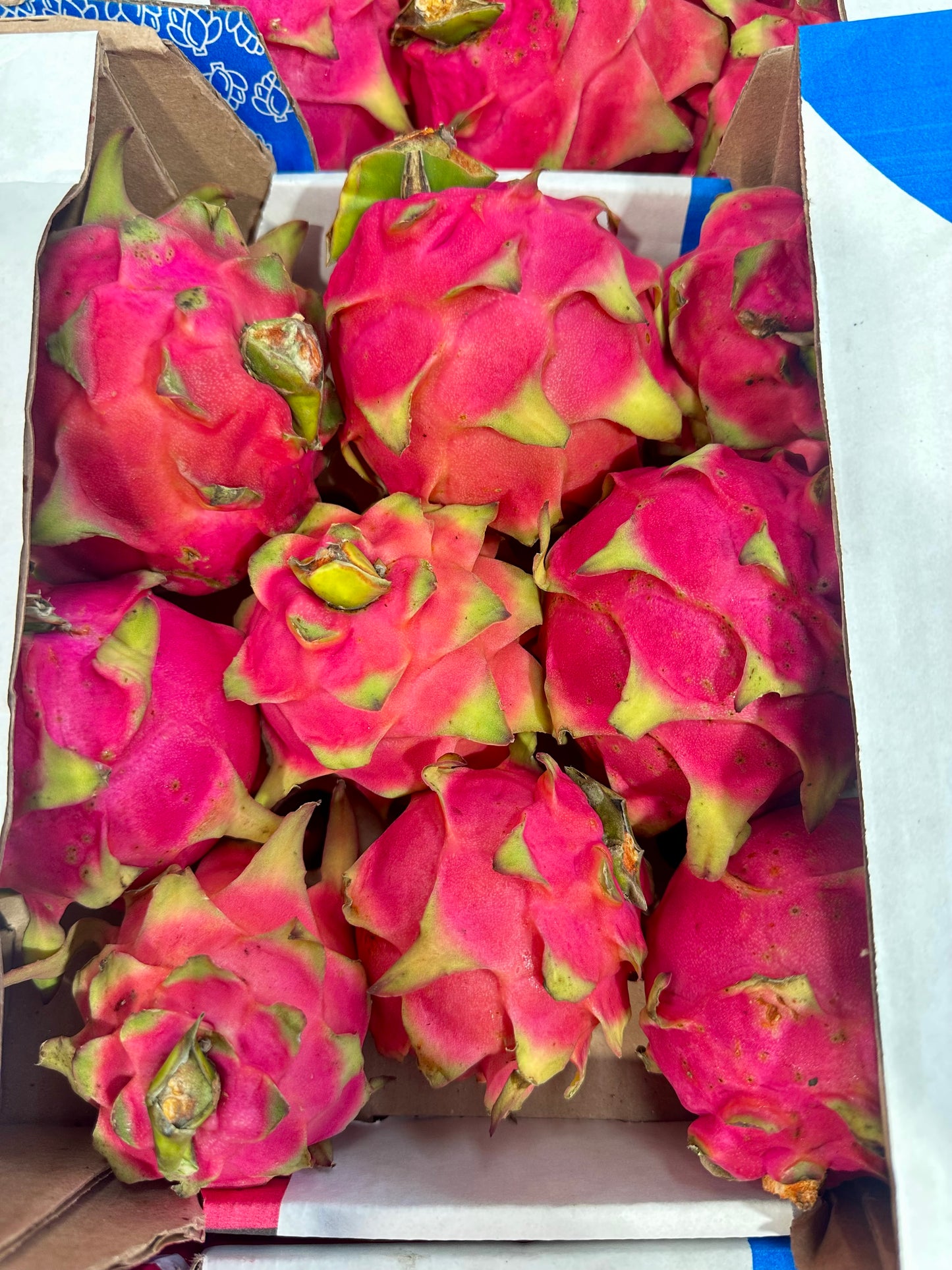 Pitahaya Roja/Roja