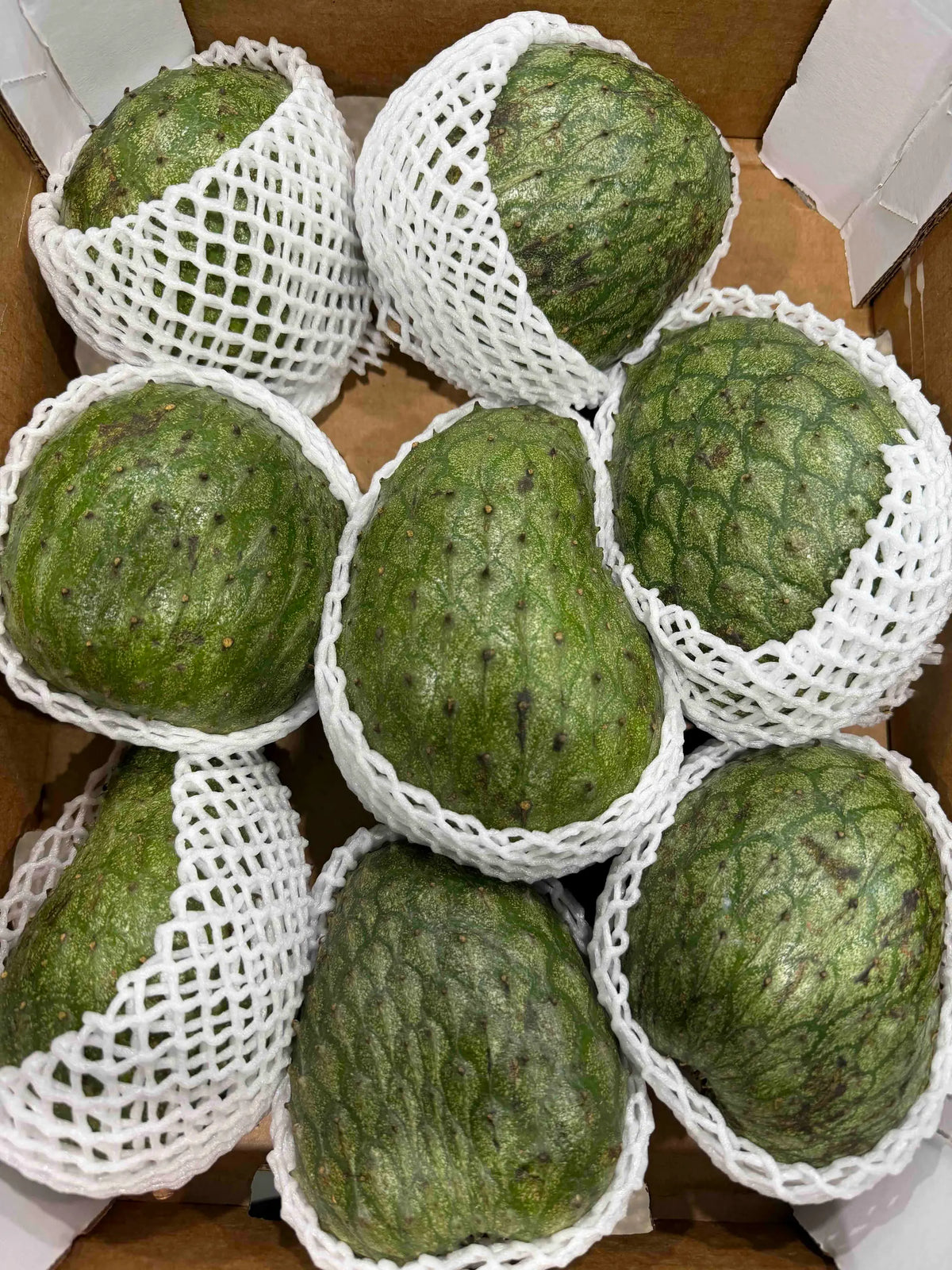 Small green baby guanabana (soursop) fruits individually protected in white foam netting inside a box.
