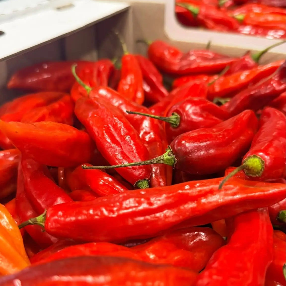 Close-up of vibrant red, elongated fresh Peruvian ají limo chili peppers with green stems packed in a 1 kg delivery box.