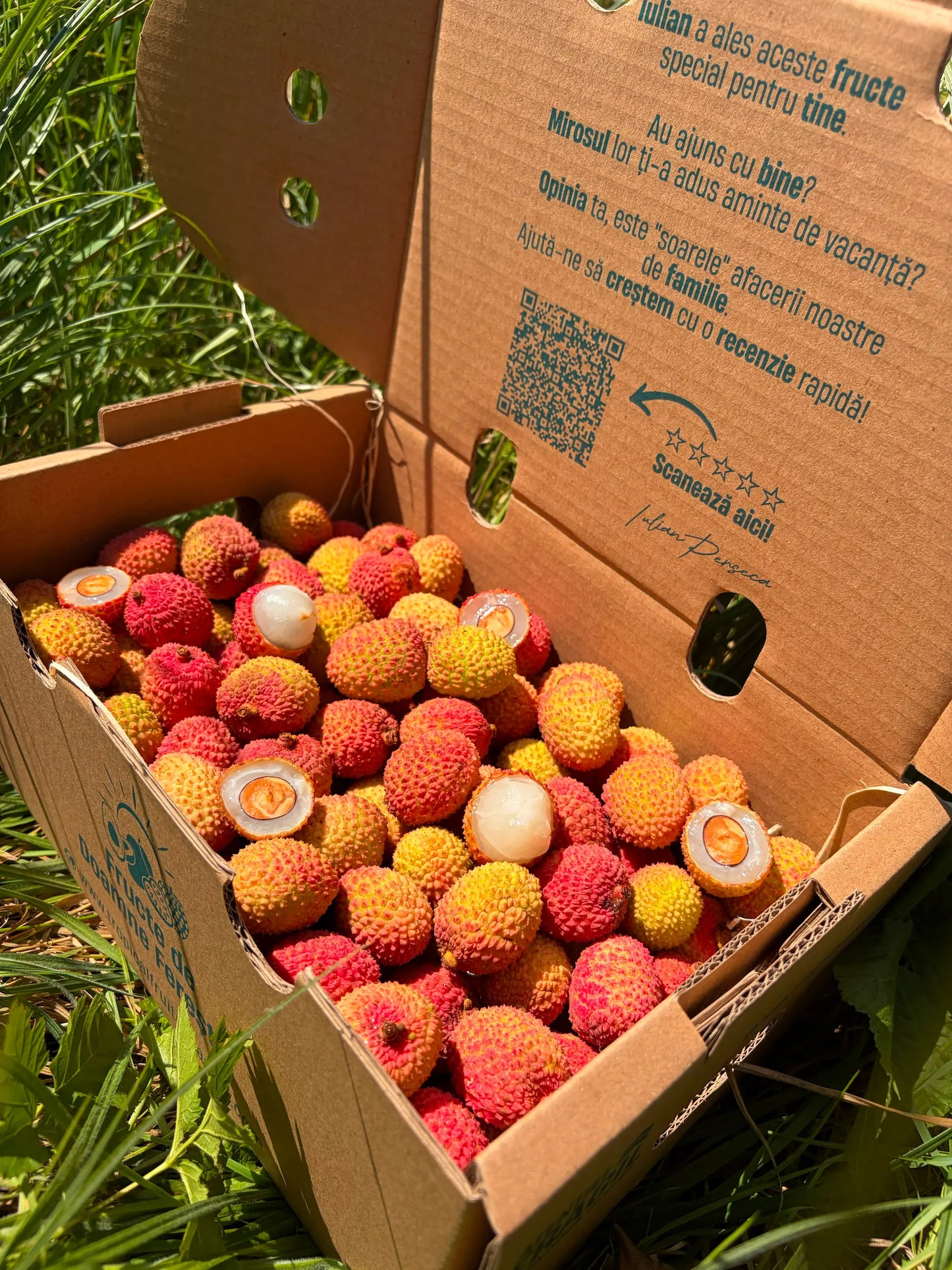 Lychee Bio