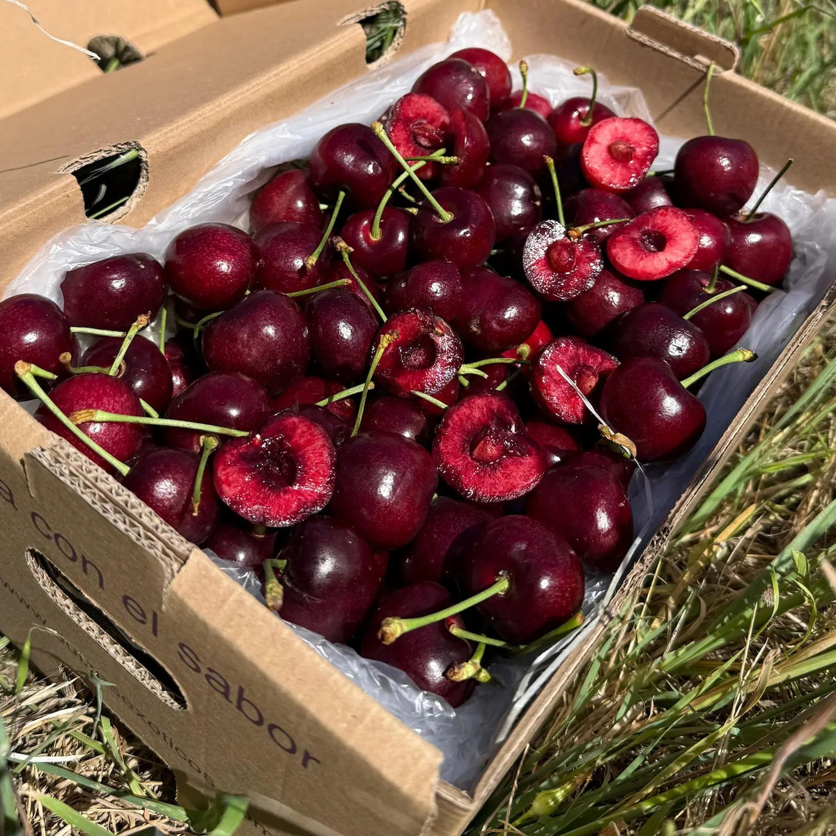 A cardboard box of deep red, juicy cherries on green grass, with several sliced open to show the rich red interior.