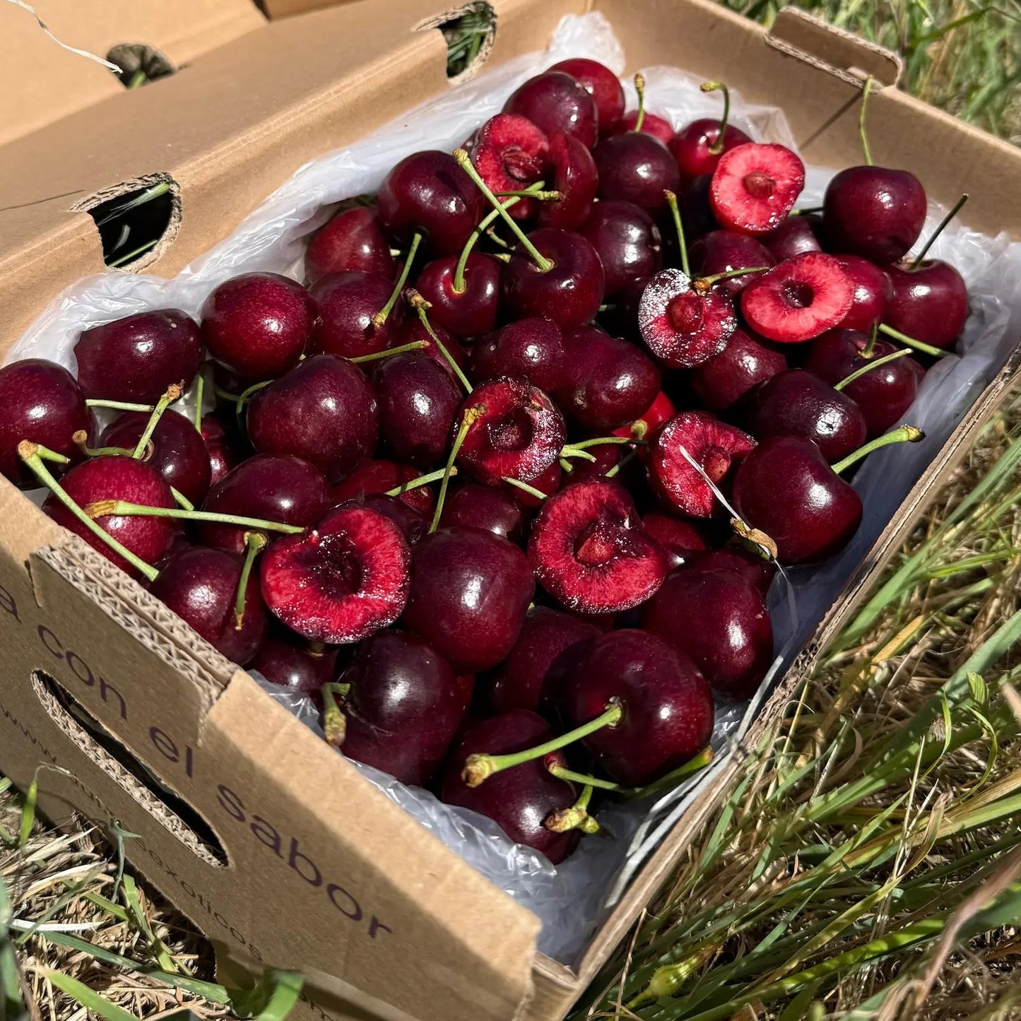 A cardboard box of deep red, juicy cherries on green grass, with several sliced open to show the rich red interior.