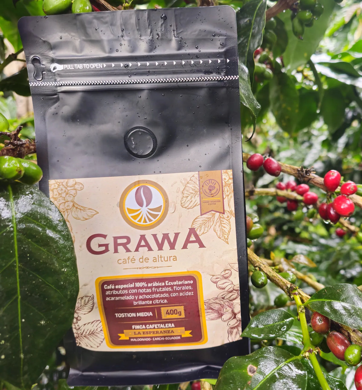 A 400g bag of Grawa special 100% Arabica Ecuadorian coffee placed against a backdrop of fresh coffee berries on a tree.