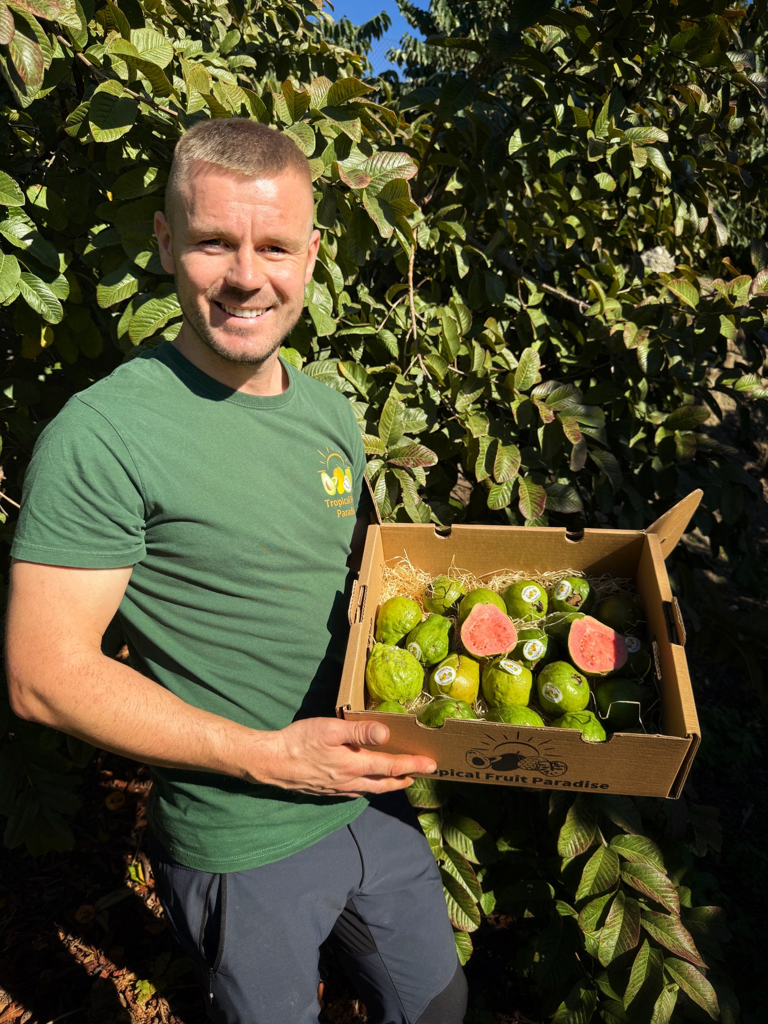 Iulian Perseca holding a box of red guava