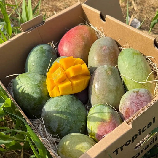 Kent Mango