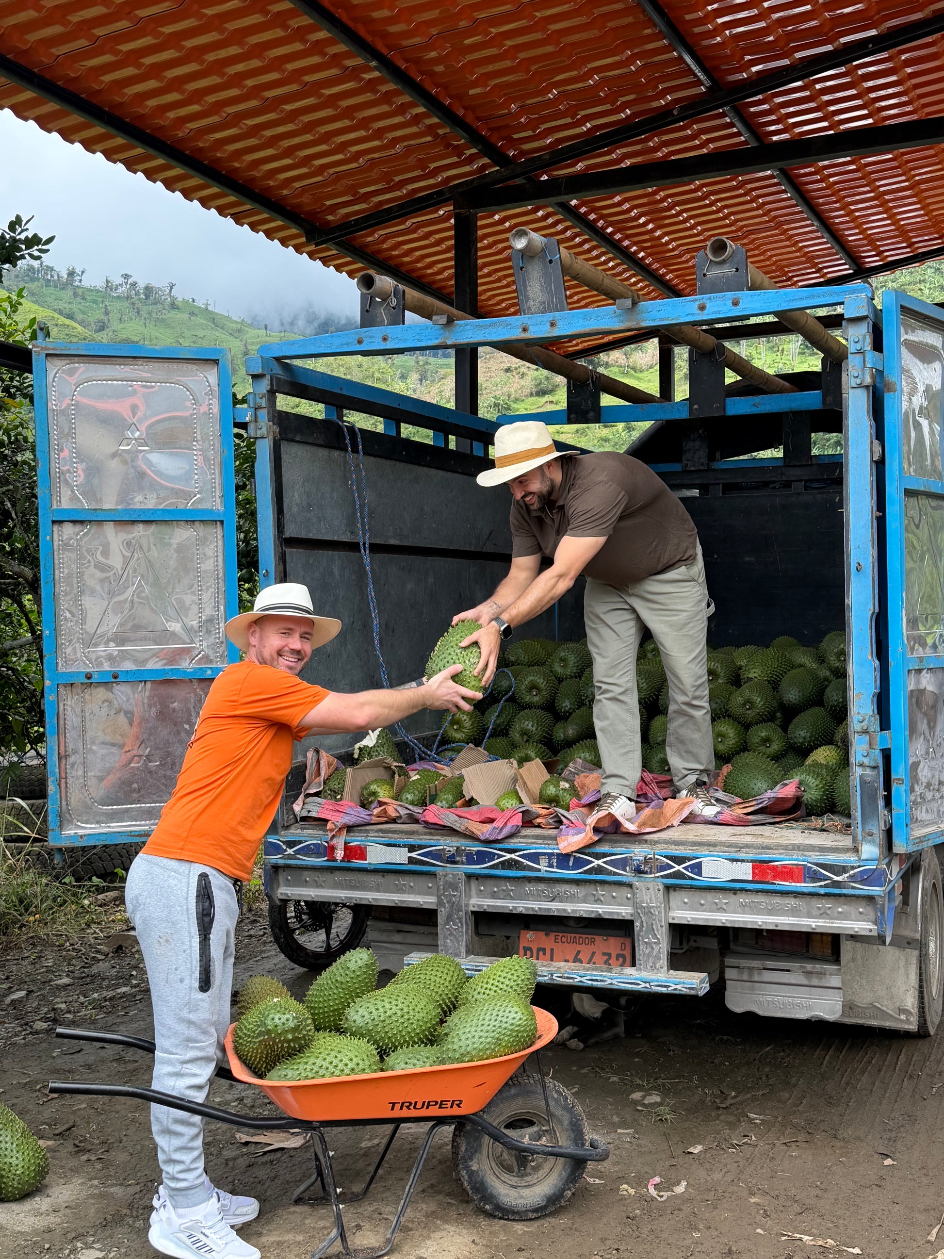 Marc Perals and Iulian Perseca holding a premium guanaba with a wheelbarrow and a truck full of guanabas in the background