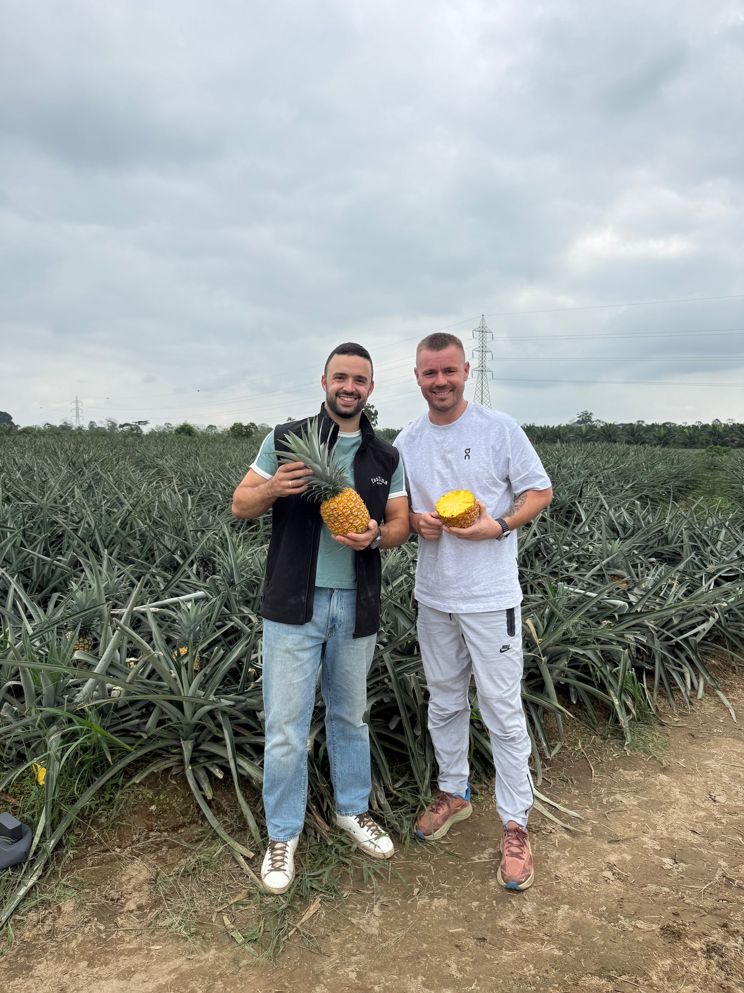 Marc Perals and Iulian Perseca are holding a pineapple in a pineapple field.