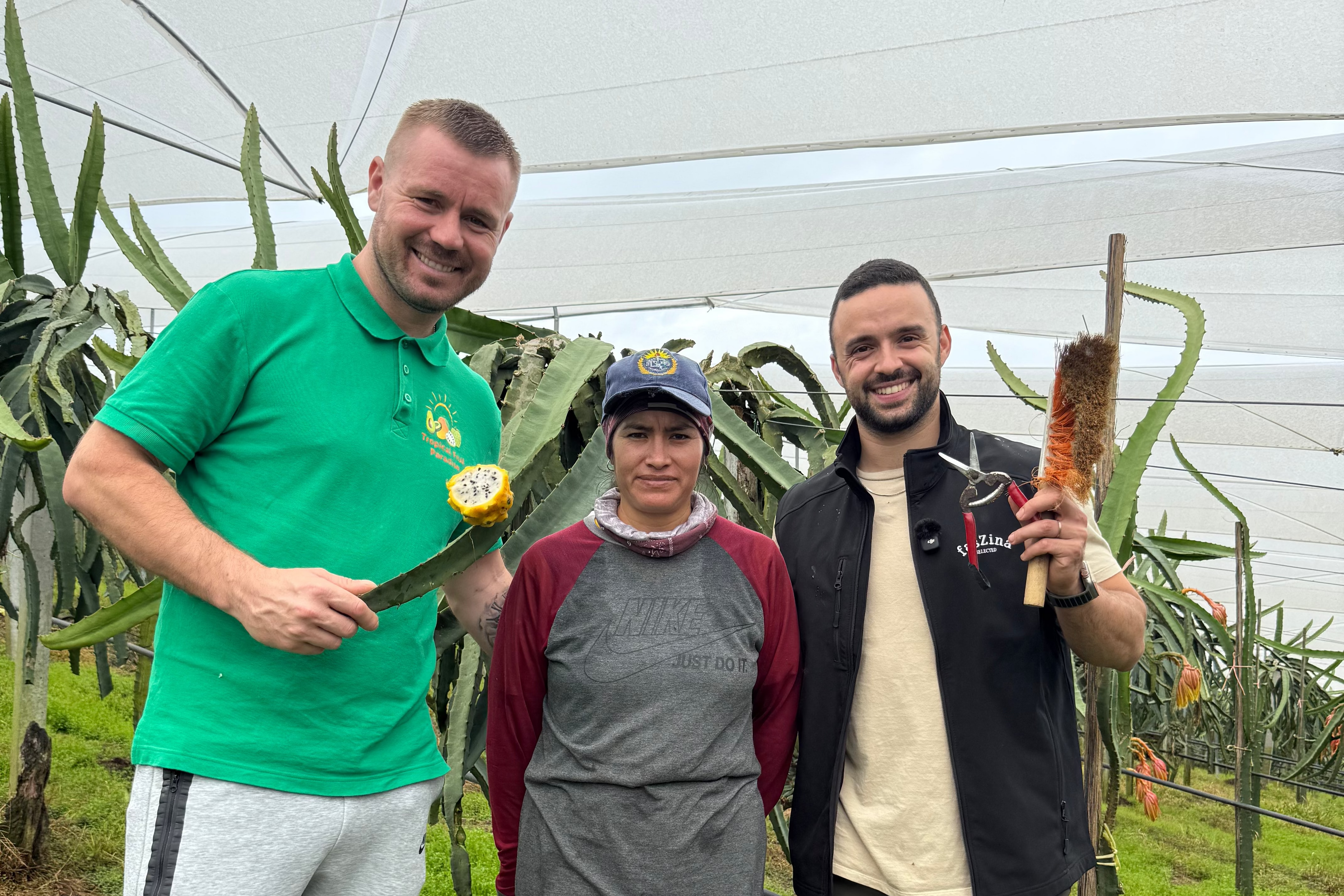 Marc Perals and Iulian Perseca in a yellow dragon fruit farm
