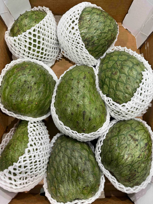 Small green baby guanabana (soursop) fruits individually protected in white foam netting inside a box.