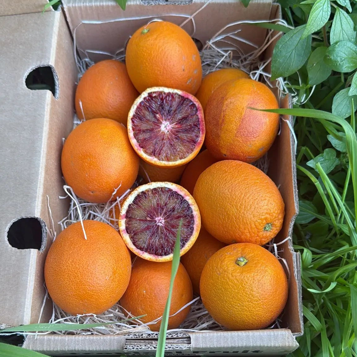 Organic Sanguinelli blood oranges, sliced to show deep red pulp, fresh 2kg delivery box by Tropical Fruit Paradise.
