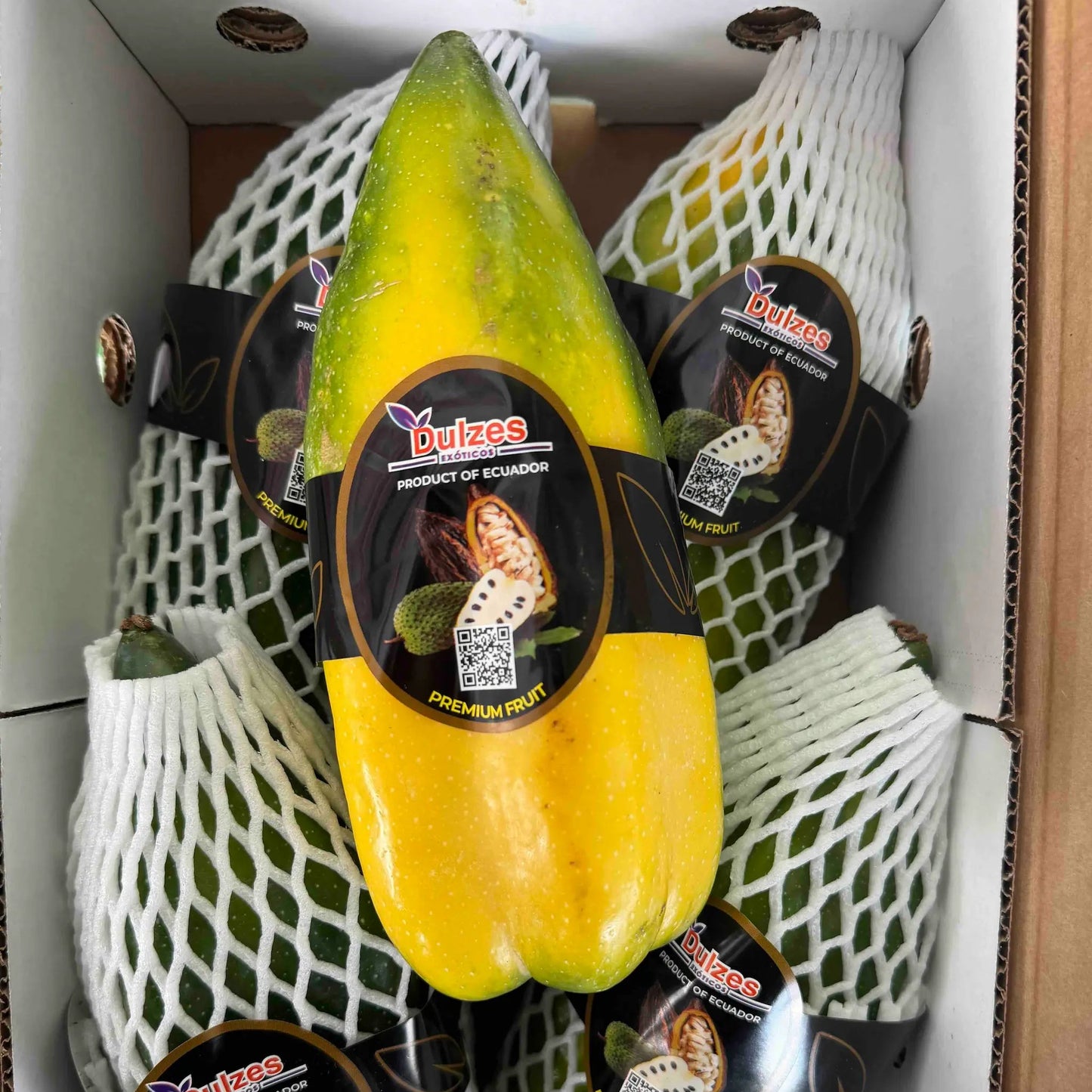 Yellow and green elongated babaco fruits from Ecuador individually protected in white foam netting with premium labels.
