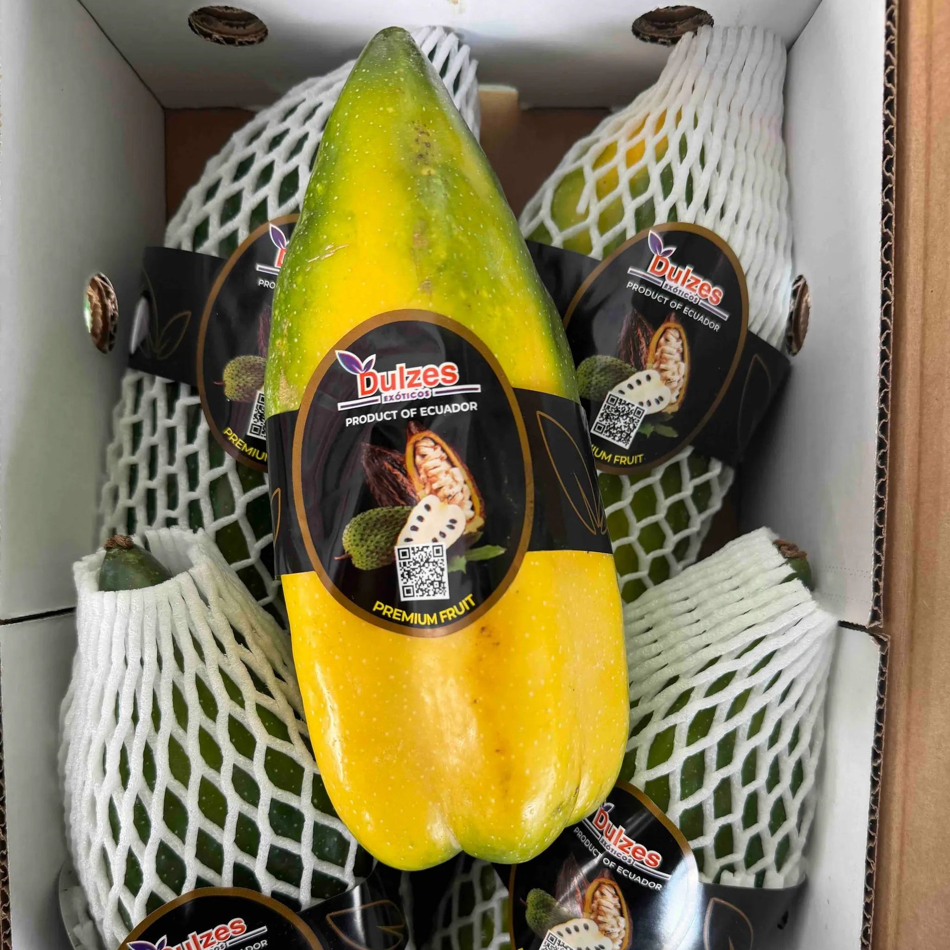 Yellow and green elongated babaco fruits from Ecuador individually protected in white foam netting with premium labels.