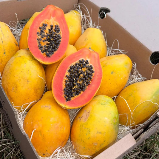 A box of ripe yellow baby papayas on hay, with one mini papaya sliced open to show the deep orange flesh and black seeds.