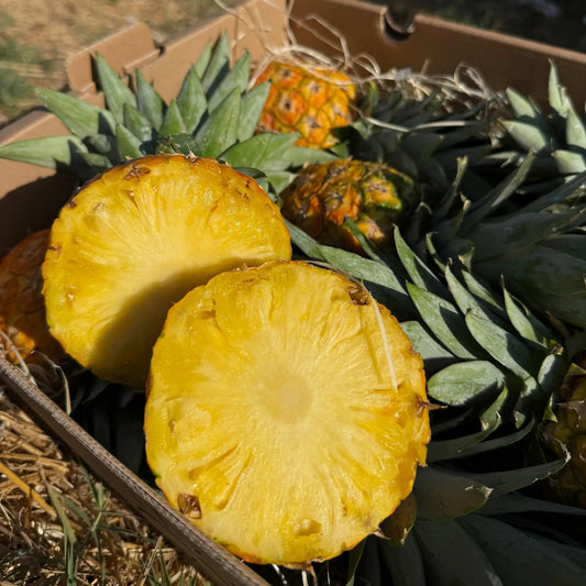 Two halves of a juicy yellow baby pineapple in a cardboard box on hay, showcasing the bright interior flesh.