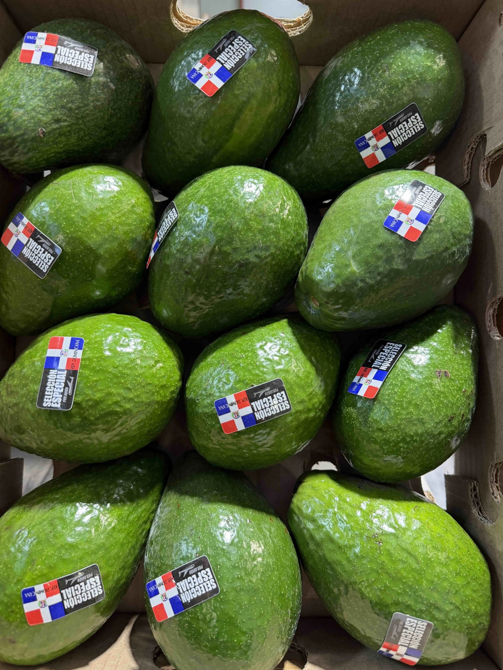 A box of fresh Dominican avocados with smooth, glossy green skin and individual selection stickers.
