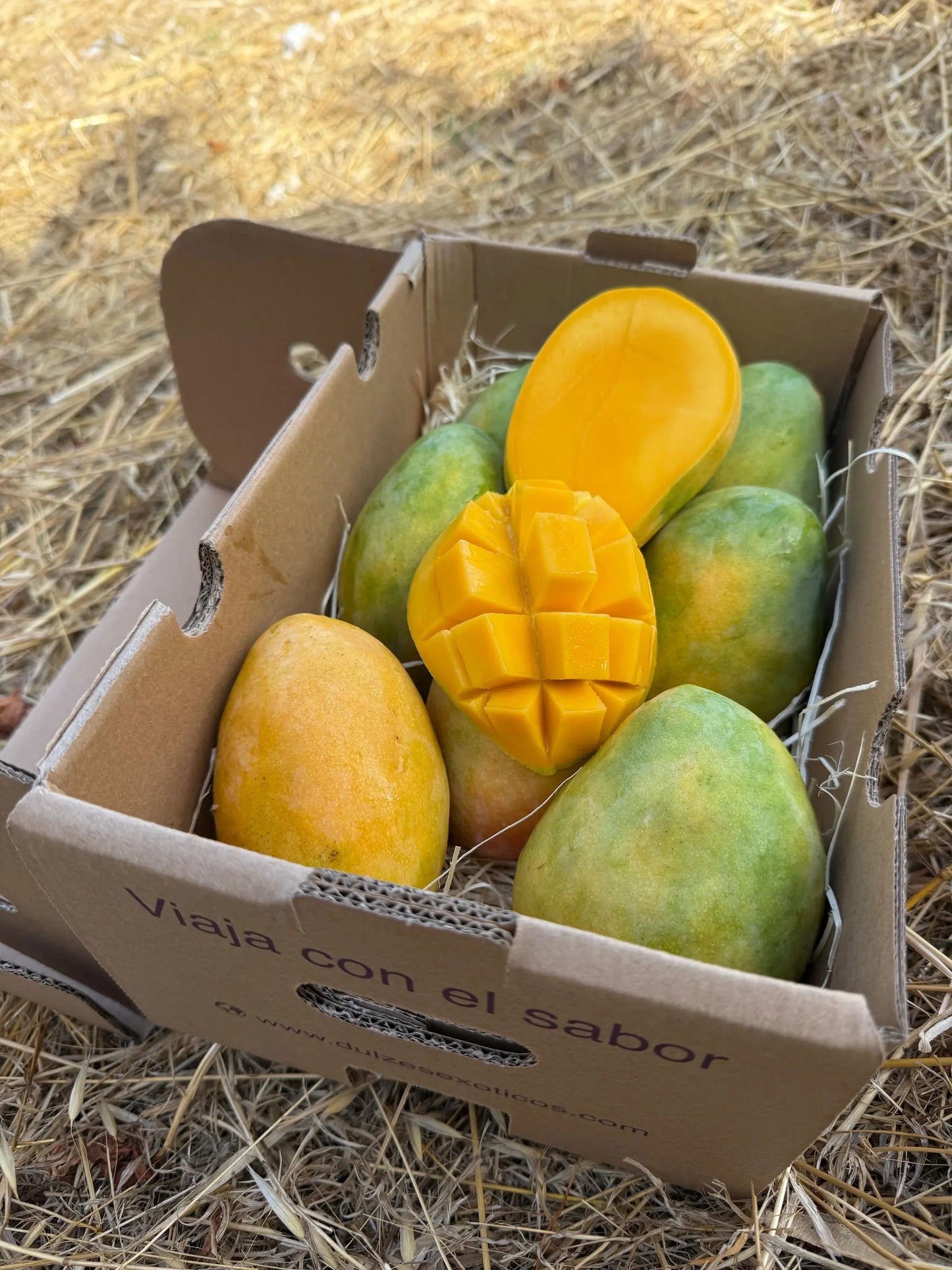 Mango Edward