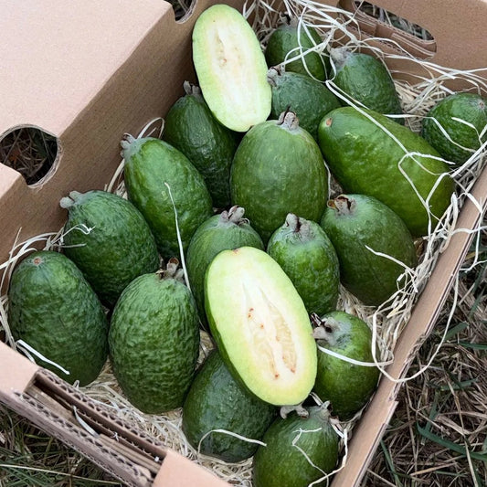 A top-down view of a box of green feijoa fruits on hay, with two fruits sliced in half revealing the star-shaped, creamy translucent pulp.