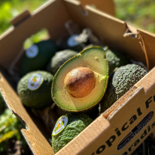 A box of ripe Hass avocados(aguacate hass), with one fruit sliced open to show the creamy green flesh and large brown stone.