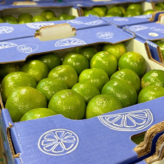 Rows of vibrant green fresh limes in blue export boxes, stacked for wholesale delivery.