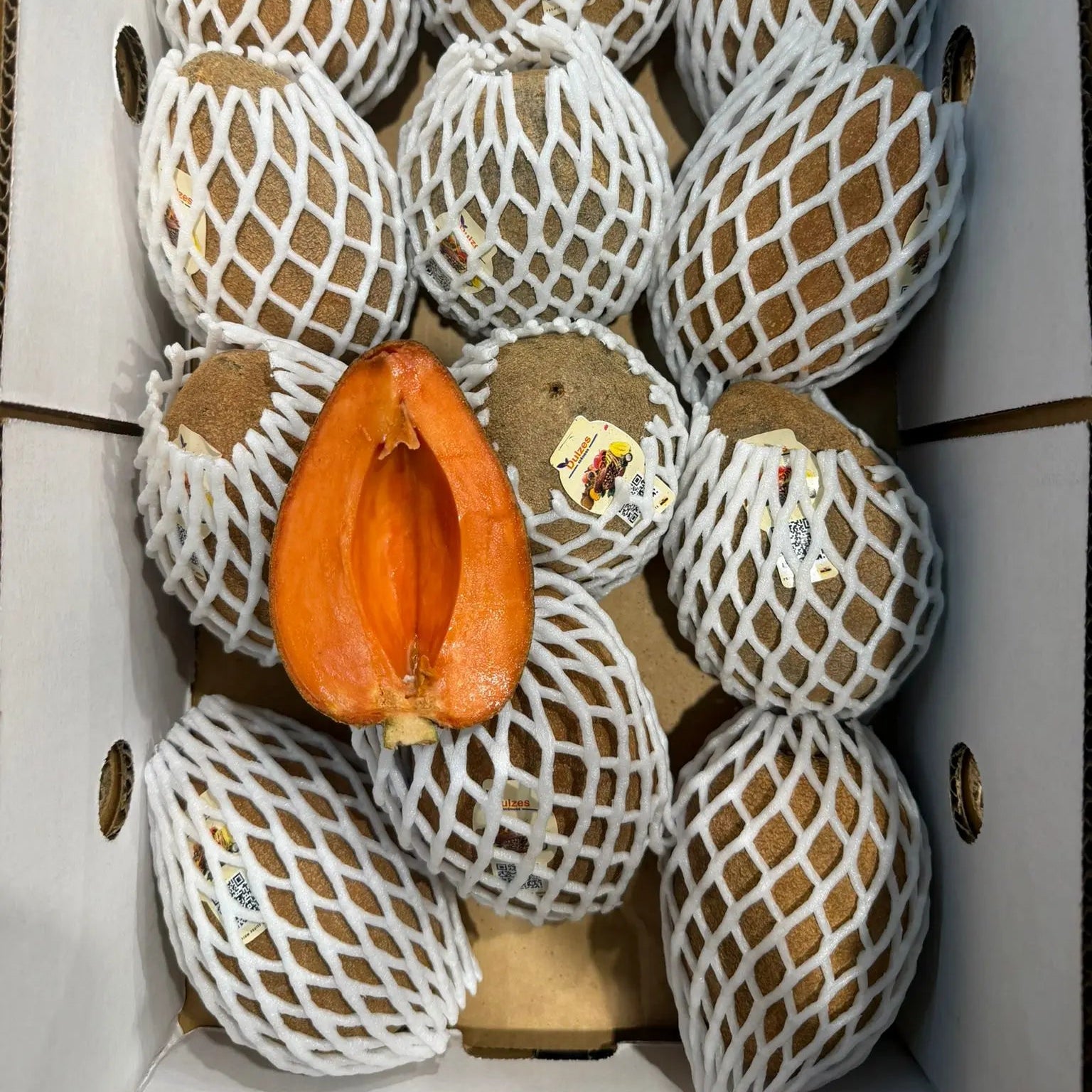 A box of round mamey sapote fruits in protective netting, with one fruit sliced open to show the smooth, vibrant orange flesh.