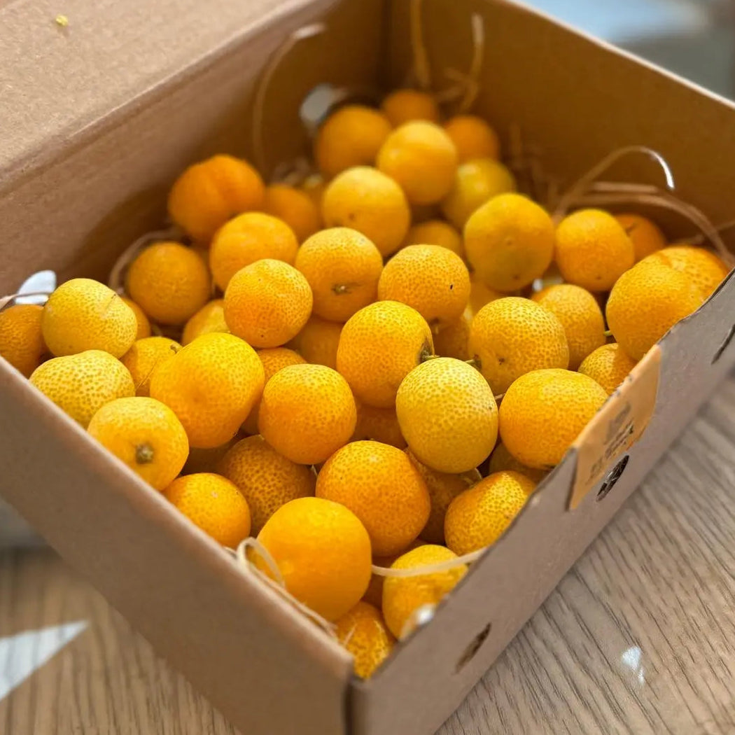 A small cardboard box filled with round, miniature golden-orange mandarin caviar citrus fruits on wood shavings.