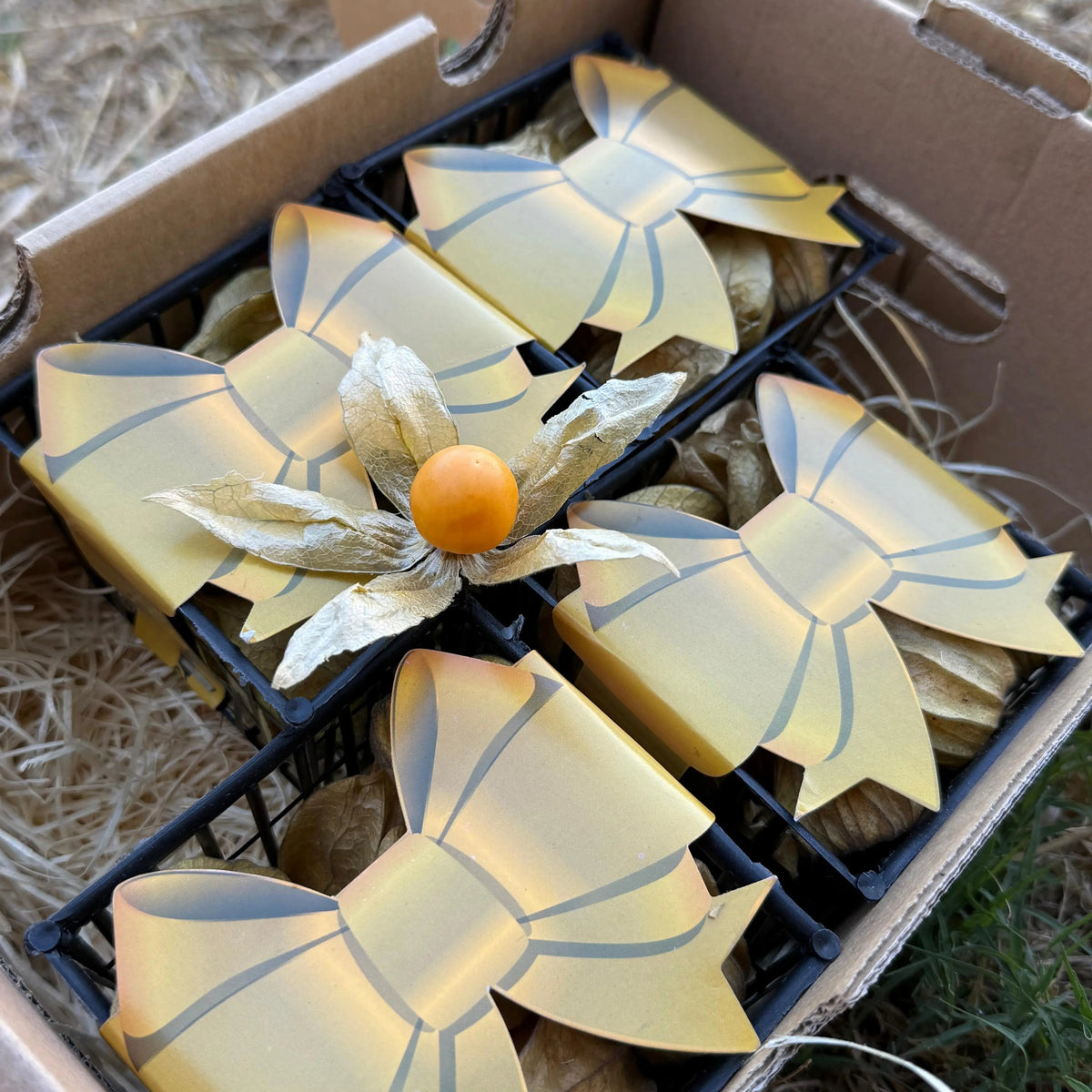 Cardboard gift box containing black punnets of fresh cape gooseberries with gold ribbon wraps, topped with an open golden physalis berry on dry straw.