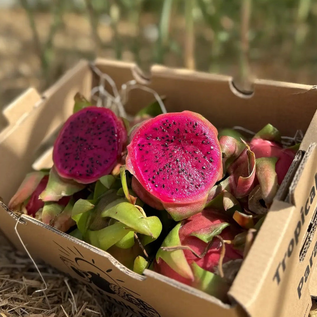 A box of fresh red dragon fruits (pitaya), with two fruits sliced in half to show the vibrant deep pink flesh and tiny black edible seeds.