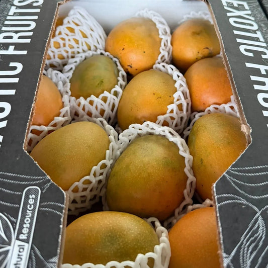 A box of small yellow Sugar Mangoes from Colombia, individually protected in white foam netting for export
