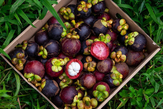 A box of ripe Thai mangosteens with a deep purple rind, including one fruit sliced open to reveal juicy white segments of flesh.