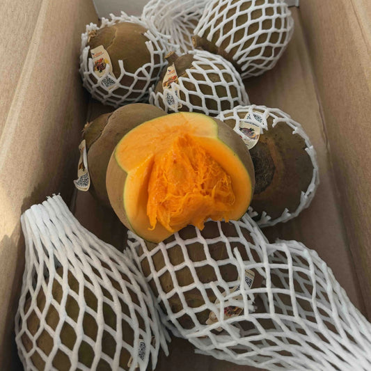 A box of round brown zapote fruits (mamey sapote) in protective netting, with one fruit sliced open to show the smooth orange flesh.