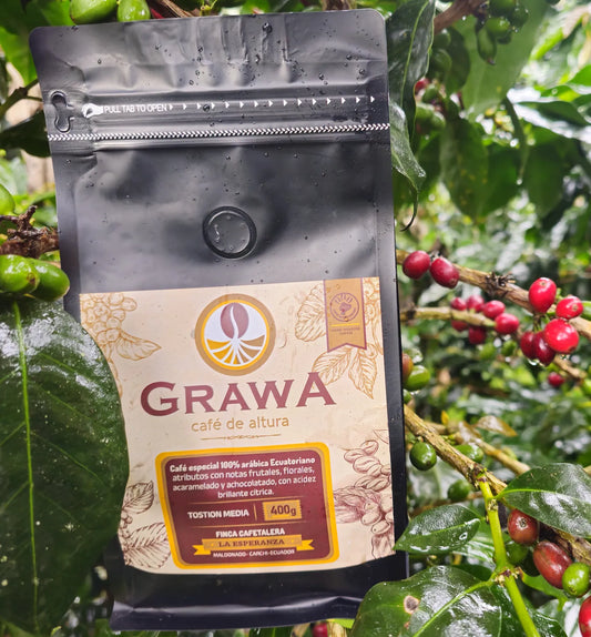 A 400g bag of Grawa special 100% Arabica Ecuadorian coffee placed against a backdrop of fresh coffee berries on a tree.