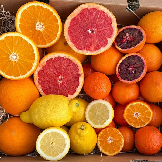 Assorted citrus fruit box featuring blood oranges, lemons, mandarins, and grapefruit, sliced open to show vibrant colors and freshness.