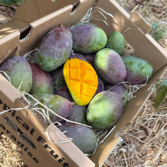 A cardboard delivery box of organic baby Osteen mangoes on dry grass, featuring green and purple skin with a diced mango cheek on top.