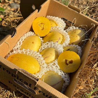 Yellow pepino melons (melon pear) in protective netting inside a delivery box.