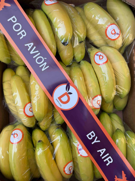 Small yellow Colombian bananitos (baby bananas) in protective plastic wraps inside a box.