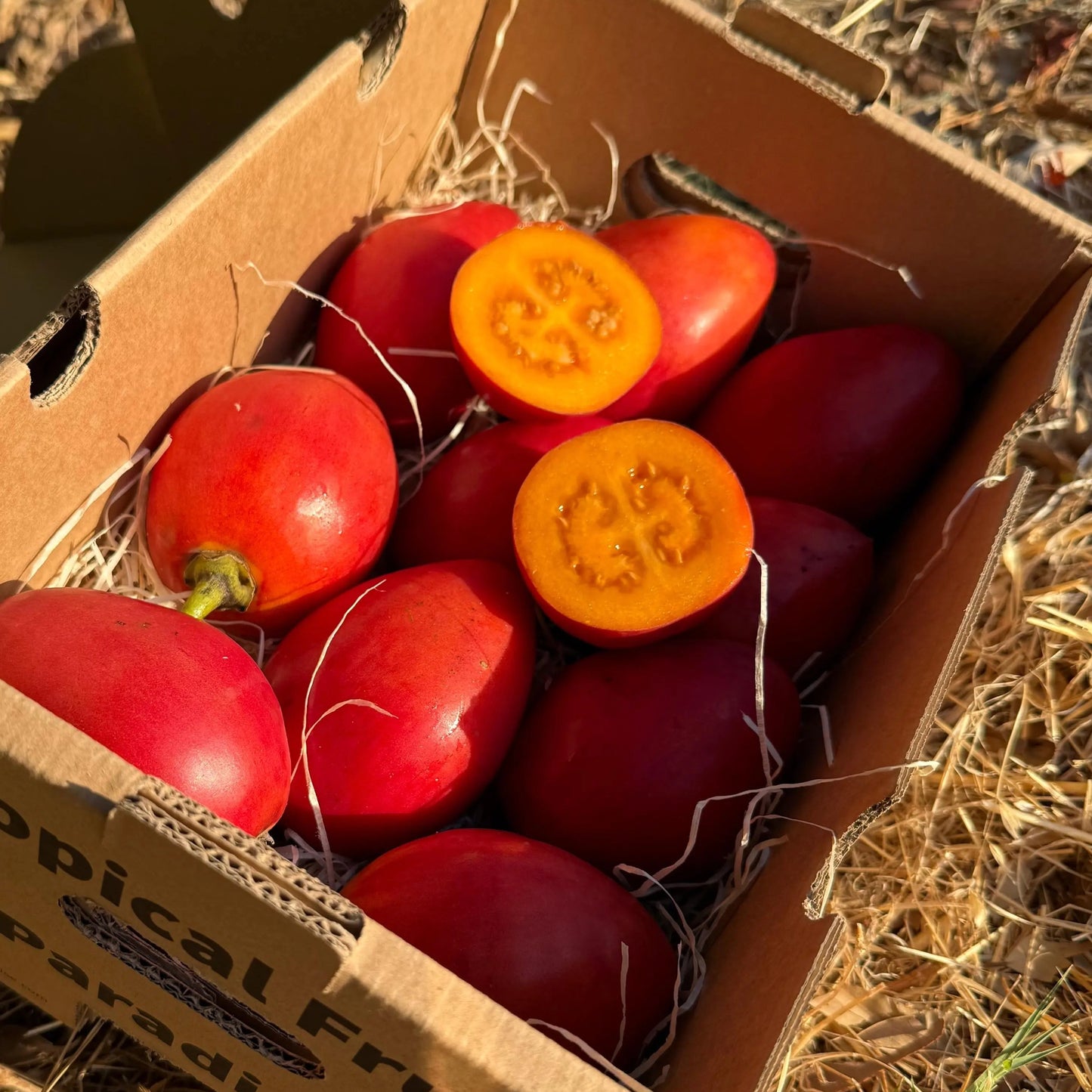 Fresh red tamarillos (tree tomatoes) in a cardboard box, one sliced open to show the orange pulp.