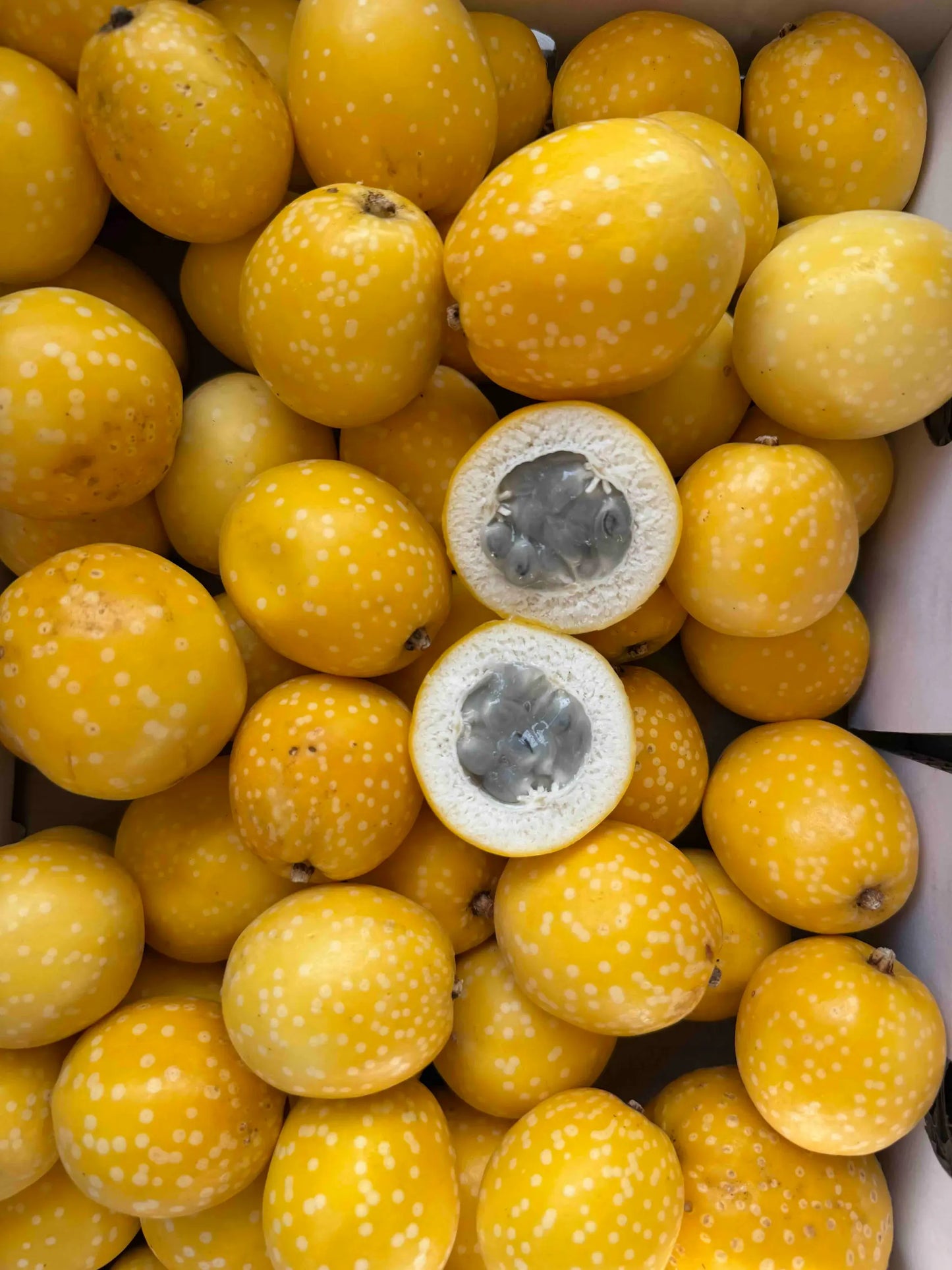 Lulu -Granadilla/Maracuyá-